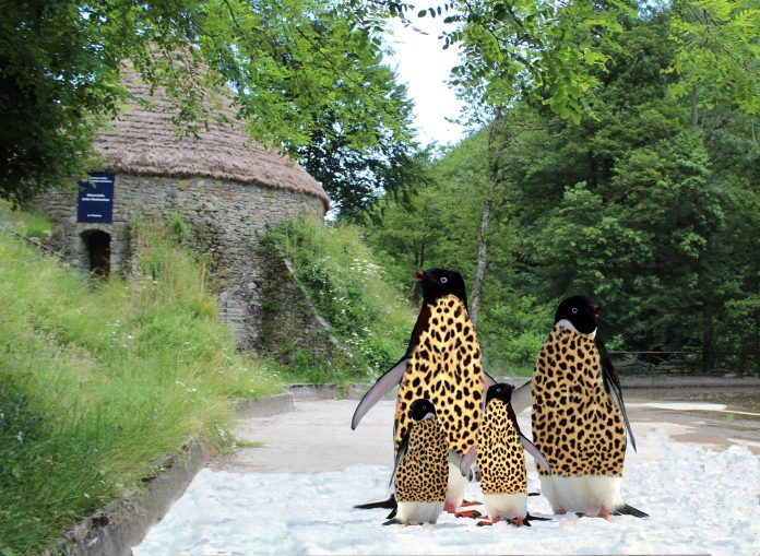 pinguini